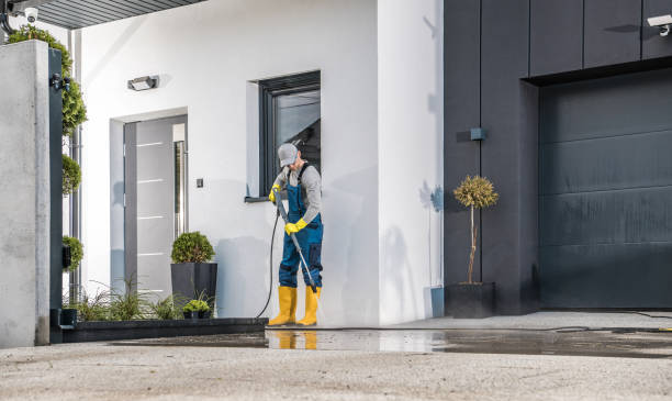 Best Building Exterior Washing  in Rock Valley, IA